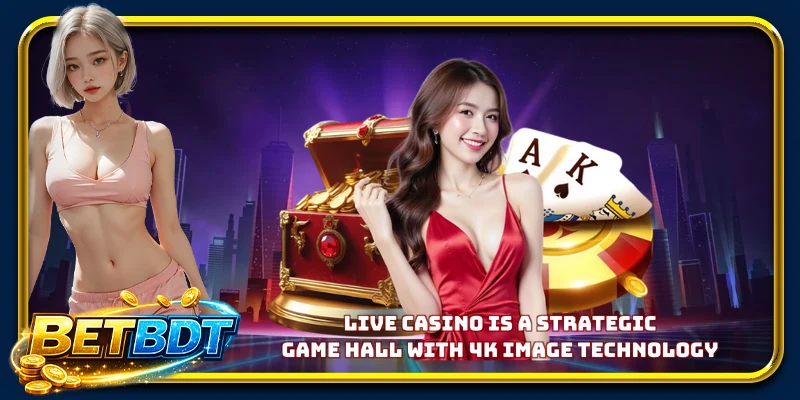 Live Casino is a strategic game hall with 4K image technology