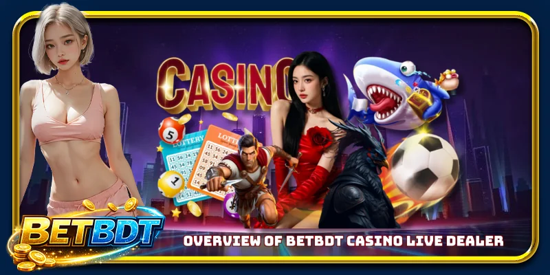 Overview of BETBDT casino live dealer